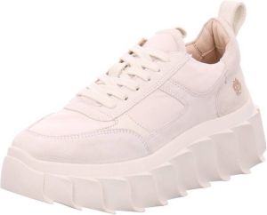 Apple of Eden Sneakers