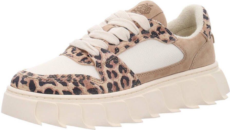 Apple of Eden Sneakers laag 'LONDON'
