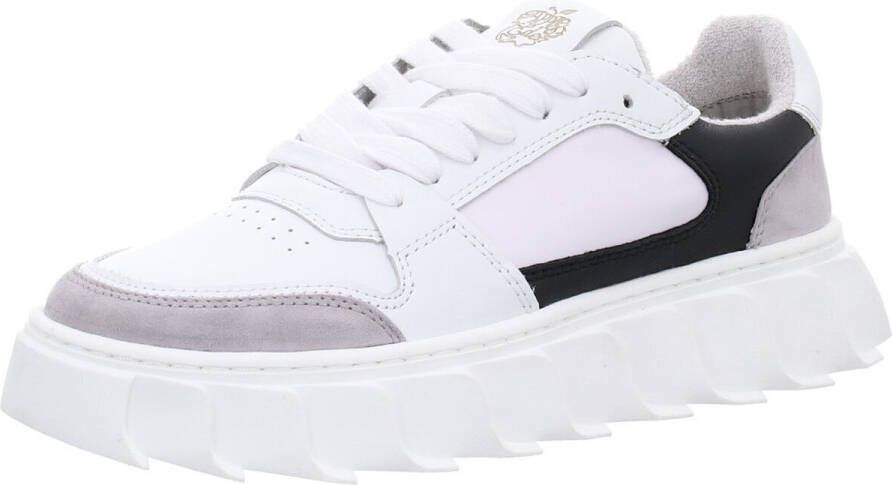 Apple of Eden Sneakers laag 'LONDON'