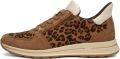 Ara Lage Sneakers 1224833 - Bruin