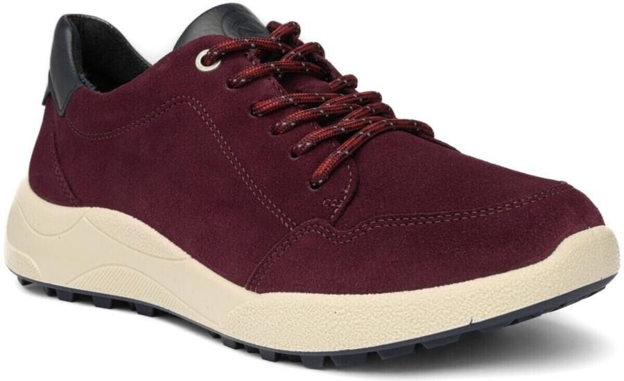 Ara Lage Sneakers