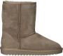 Ara 1229919 Volwassenen Gevoerde laarzenSnowbootsDames laarzen Taupe - Thumbnail 2