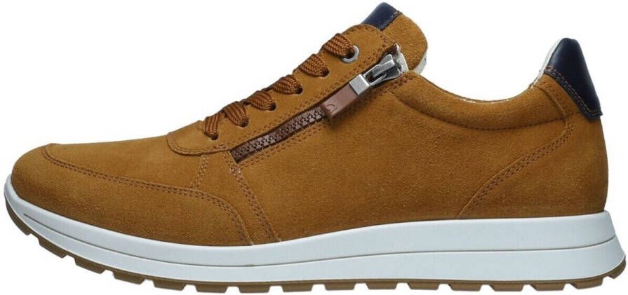 Ara Lage Sneakers