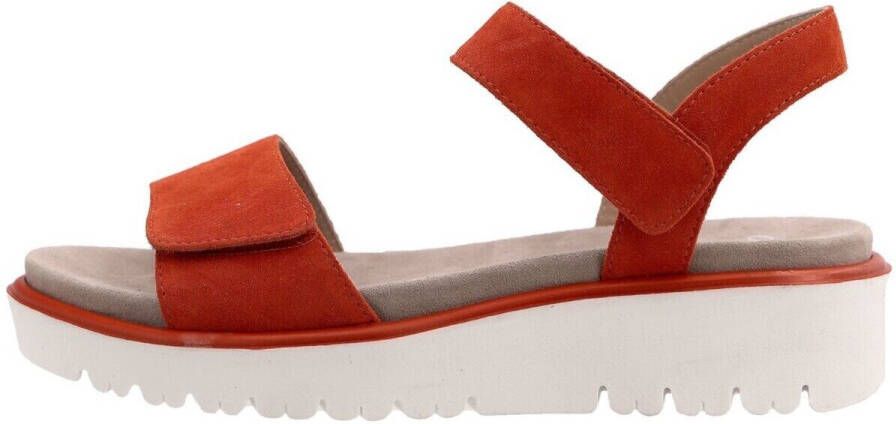 Ara Sleehaksandaaltjes Bilbao sleehaksandaal zomerschoen comfortabele schoen in g-breedte