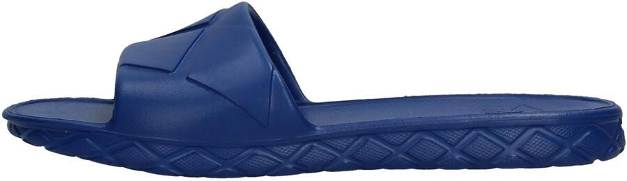 Arena Chanclas Waterlight Blauw