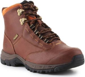 ARIAT Wandelschoenen Berwick lace GTX Insulated 10016298