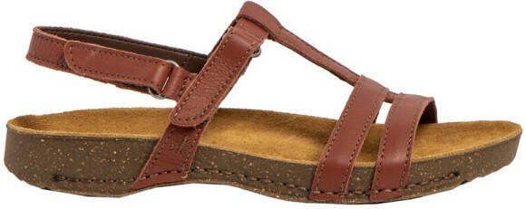 ART Sandalen 1094641HA003
