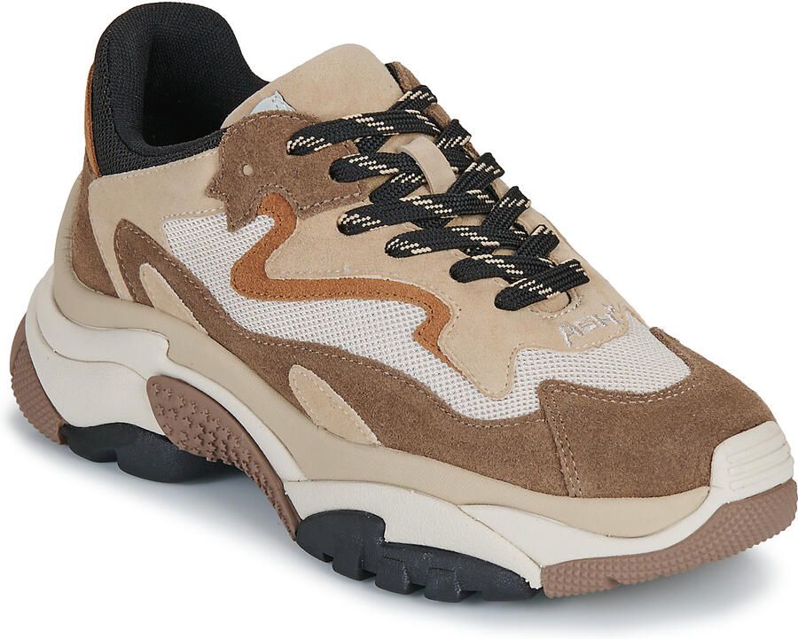 Ash Lage Sneakers ADDICT