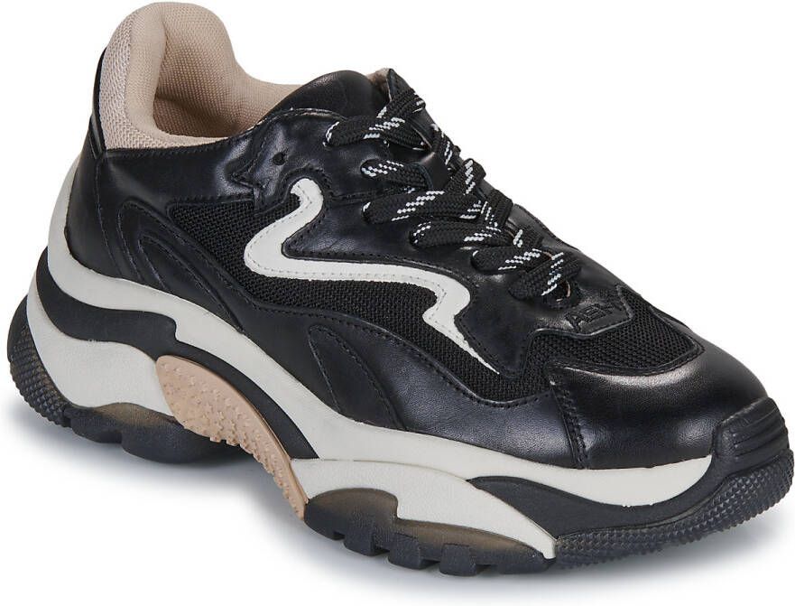 Ash Lage Sneakers ADDICT