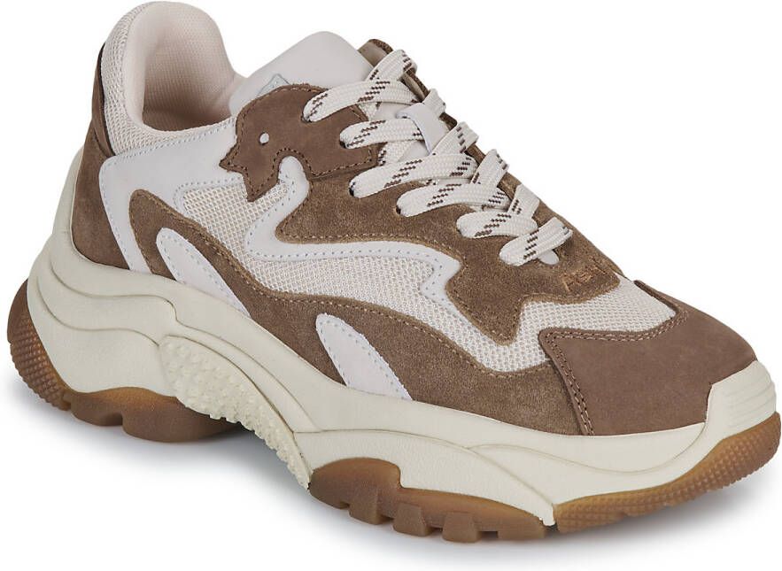 Ash Lage Sneakers ADDICT