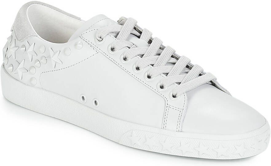Ash Lage Sneakers DAZED