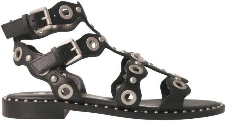 Ash Sandalen
