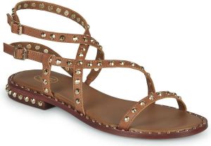 Ash Sandalen PETRA