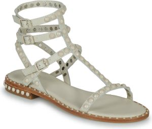 Ash Sandalen PLAY BIS