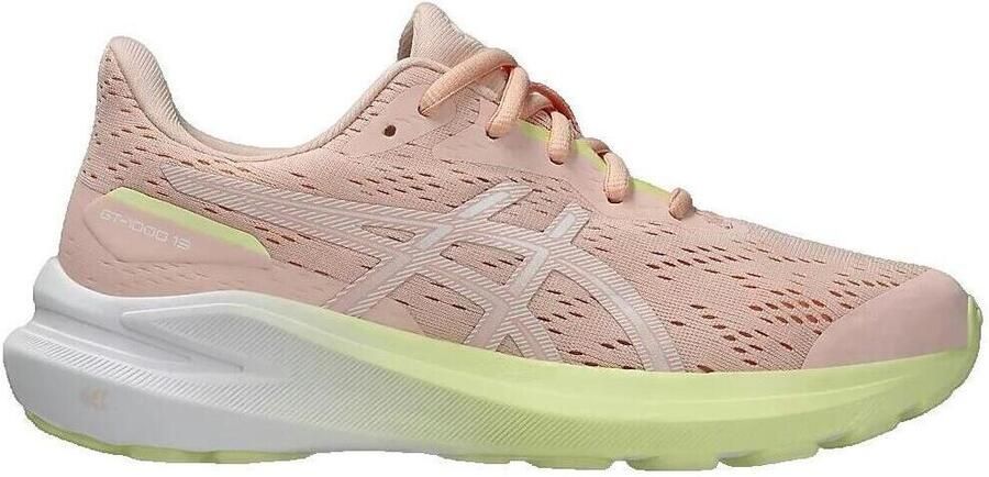ASICS Hardloopschoenen Gt-1000 13 Gs