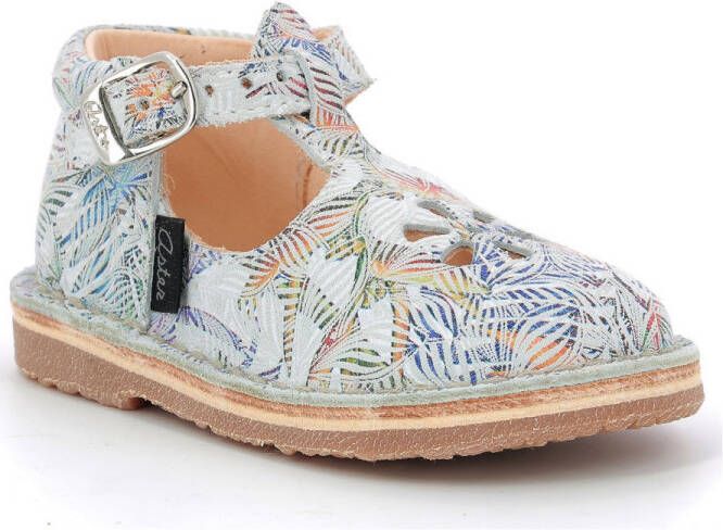 Aster Ballerina's Bimbo-2