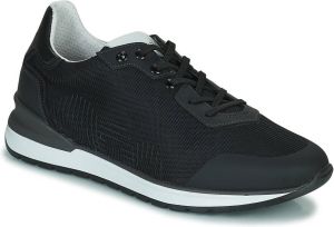 Azzaro Lage Sneakers Vertic