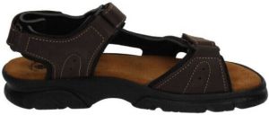 Baerchi Sandalen