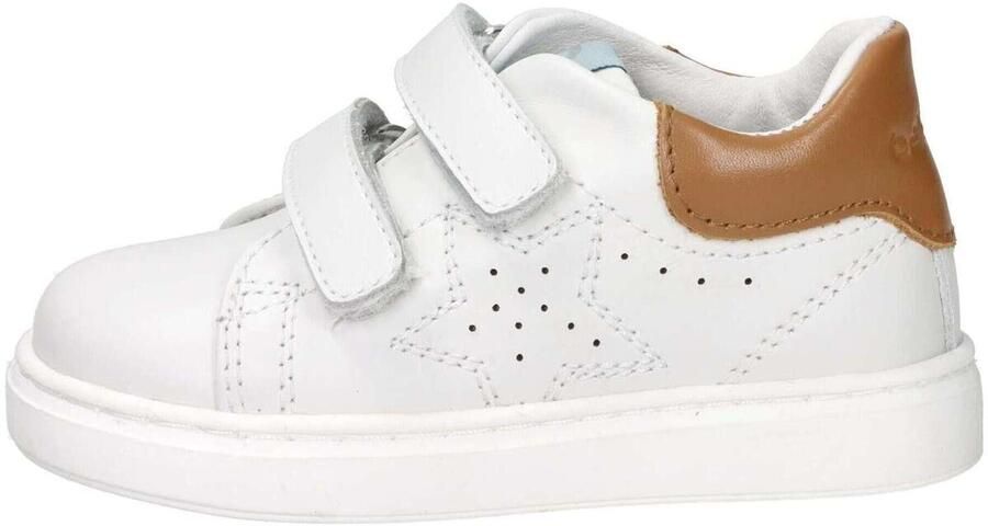 Balducci Sneakers CITA6821