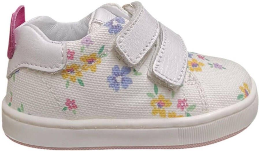 Balducci Lage Sneakers cita