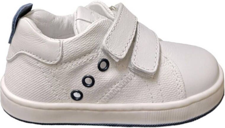 Balducci Lage Sneakers cita