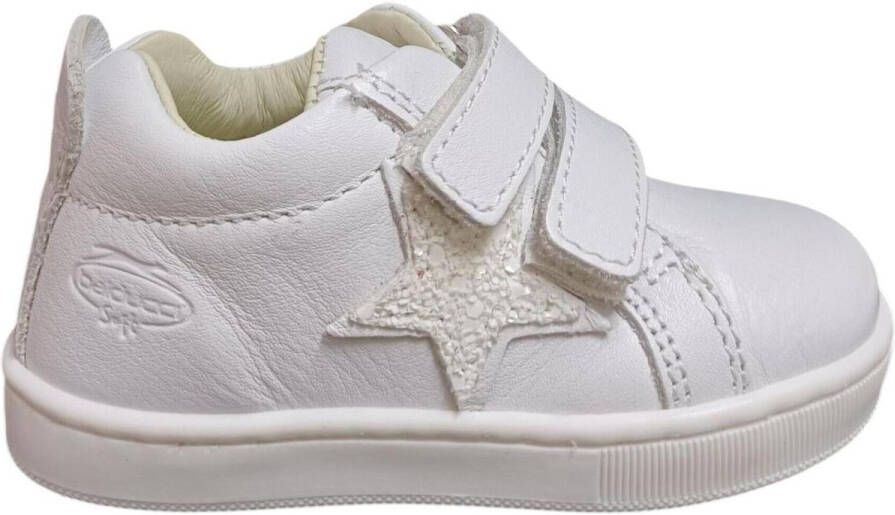 Balducci Lage Sneakers cita