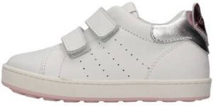 Balducci Lage Sneakers CITA5104B