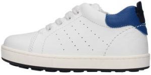 Balducci Lage Sneakers CITA5105B