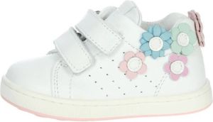 Balducci Lage Sneakers CITA5840B
