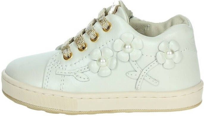 Balducci Lage Sneakers CITA6636