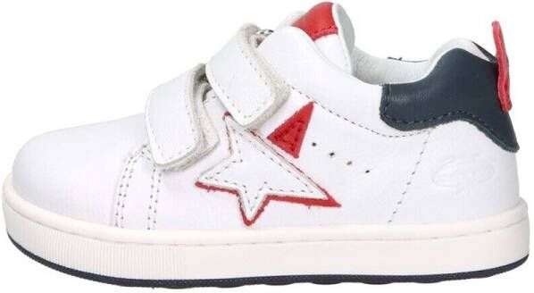 Balducci Lage Sneakers CITA6753