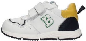 Balducci Lage Sneakers CSP5053B