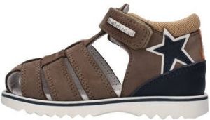 Balducci Lage Sneakers CITA5408