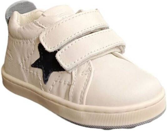 Balducci Sneakers CITA6204