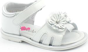 Balocchi Sandalen BAL-E21-111311-BI-b