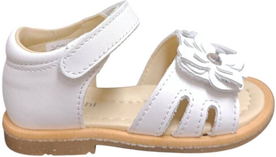 Balocchi Sandalen PARIS