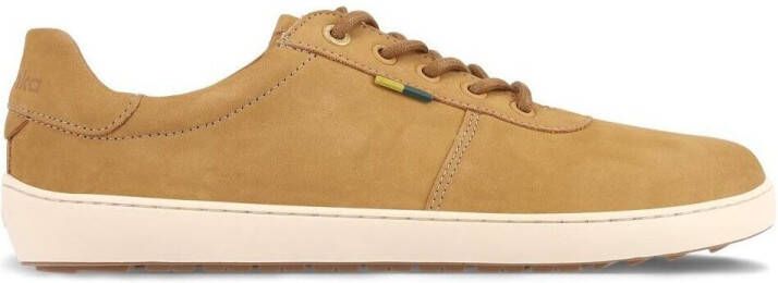 Be Lenka Sneakers Baskets Phoenix