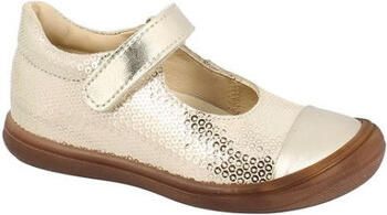 Bellamy Ballerina's ossi