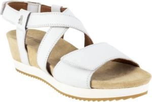 Benvado Sandalen 37009006