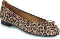 Betty London Ballerina's VIOLETTE - Bruin