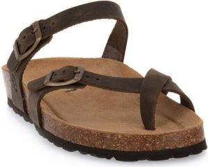 Bioline Slippers 227 INGRASSATO MARRONE