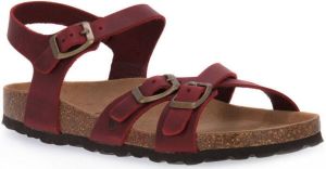 Bioline Slippers 229 ROSSO INGRASSATO