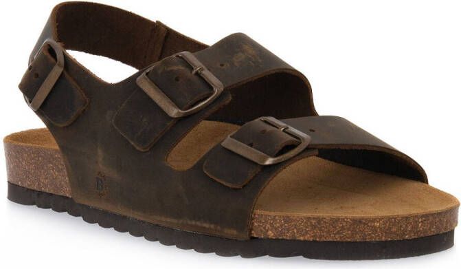 Bioline Sandalen 880 INGRASSATO MARRONE