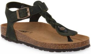 Bioline Slippers 994 CIPRESSO INGRASSATO
