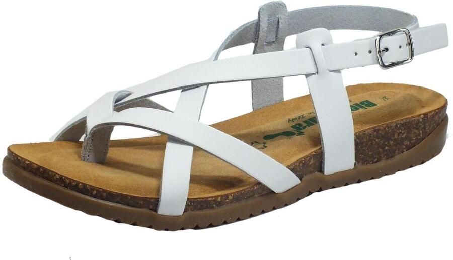Bionatura Teenslippers 34 A 2005 IMB By Cast