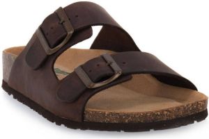 Bionatura Slippers CRAZY HORSE CAFFE