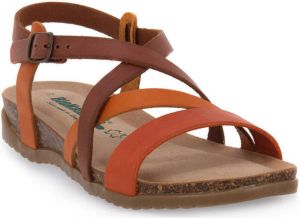 Bionatura Slippers GAUCHO OIL