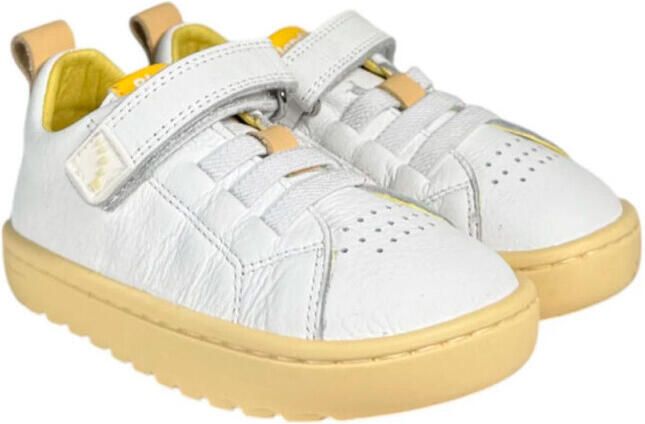 Críos Lage Sneakers AZORES