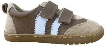 Blanditos Lage Sneakers DELFIN AUTOADHERENTE Marrón