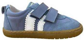 Blanditos Lage Sneakers DELFIN VELCRO DEPORTIVA RESPETUOSA Azulón